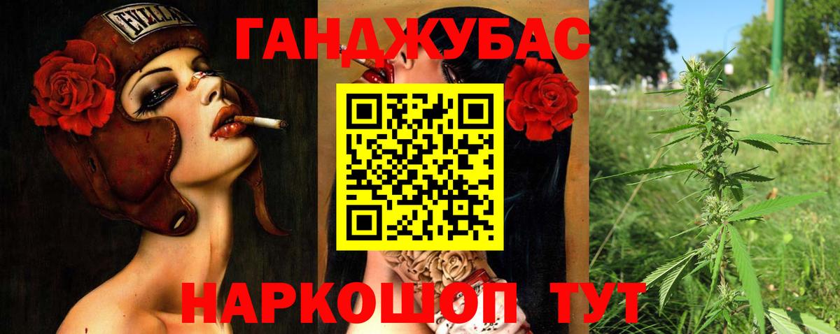 Марихуана Bruce Banner  Вход с VPN  Бошки марихуана план  Новый Уренгой  Шишки марихуана конопля 
